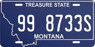 MT license plate 998733S