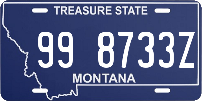 MT license plate 998733Z