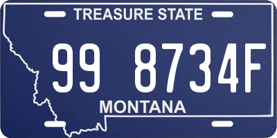 MT license plate 998734F