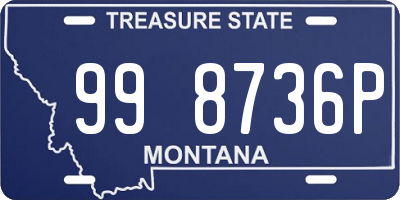 MT license plate 998736P