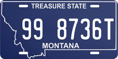 MT license plate 998736T