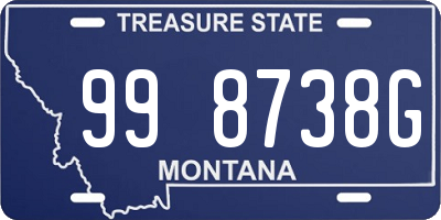 MT license plate 998738G