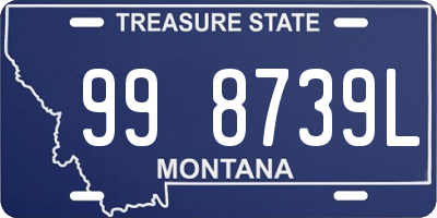 MT license plate 998739L