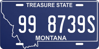 MT license plate 998739S