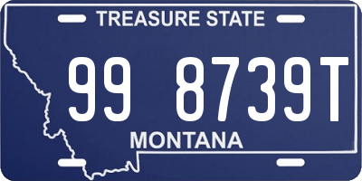 MT license plate 998739T