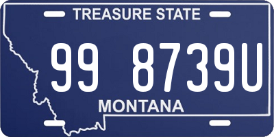 MT license plate 998739U