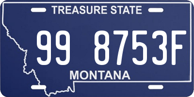 MT license plate 998753F