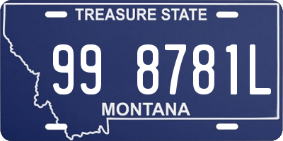 MT license plate 998781L