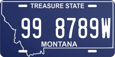 MT license plate 998789W