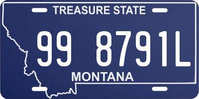 MT license plate 998791L