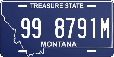 MT license plate 998791M