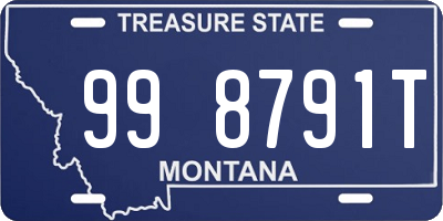 MT license plate 998791T