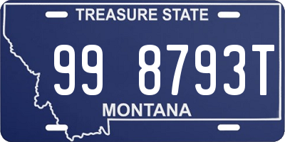 MT license plate 998793T