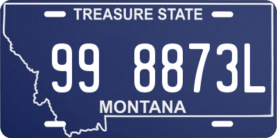 MT license plate 998873L