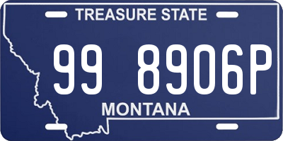 MT license plate 998906P