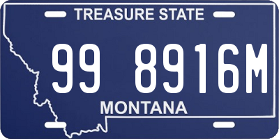 MT license plate 998916M