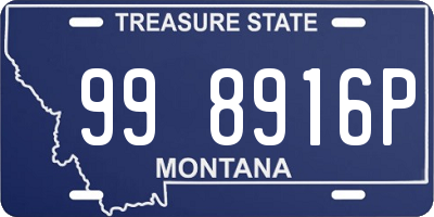 MT license plate 998916P