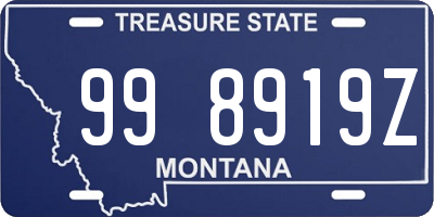 MT license plate 998919Z