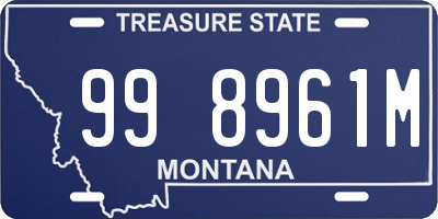 MT license plate 998961M