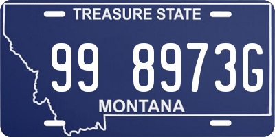 MT license plate 998973G