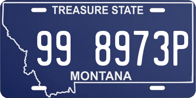 MT license plate 998973P