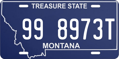 MT license plate 998973T