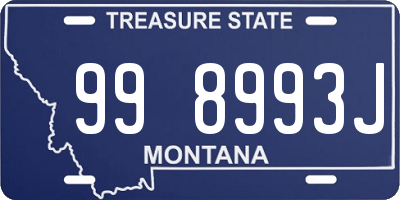 MT license plate 998993J