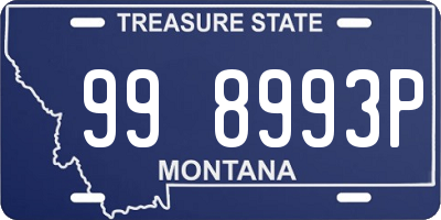 MT license plate 998993P