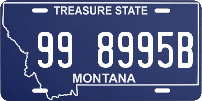 MT license plate 998995B