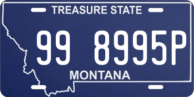 MT license plate 998995P