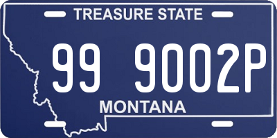 MT license plate 999002P