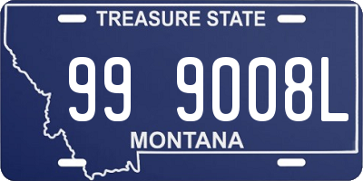 MT license plate 999008L