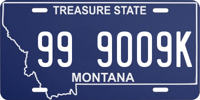 MT license plate 999009K