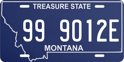MT license plate 999012E
