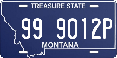 MT license plate 999012P