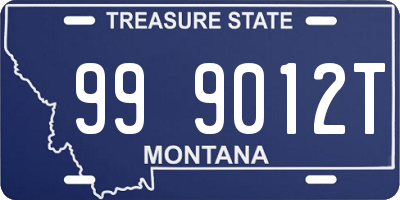 MT license plate 999012T
