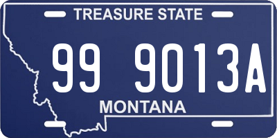 MT license plate 999013A