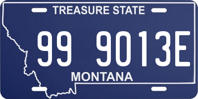 MT license plate 999013E