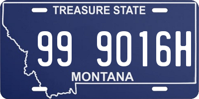 MT license plate 999016H