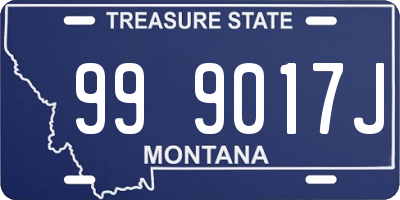 MT license plate 999017J