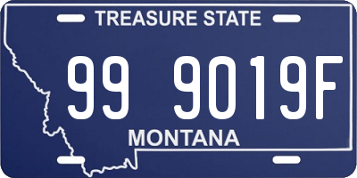 MT license plate 999019F