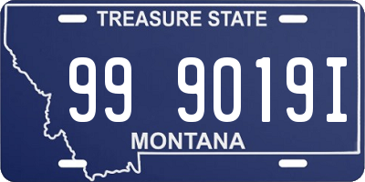 MT license plate 999019I