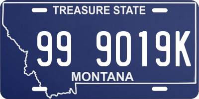 MT license plate 999019K