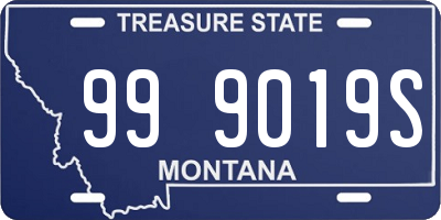MT license plate 999019S
