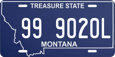 MT license plate 999020L