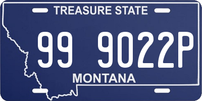 MT license plate 999022P