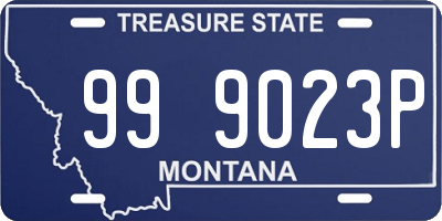 MT license plate 999023P