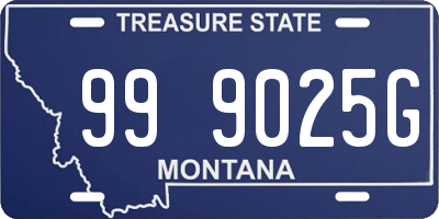 MT license plate 999025G