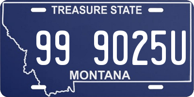 MT license plate 999025U