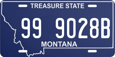 MT license plate 999028B